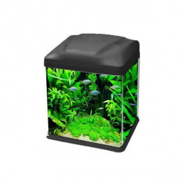 B231 Mini Fanus Balık Akvaryumu 33x21x32 Cm Siyah | Tatlı Su Akvaryumu B231 Mini Fanus Balık Akvaryumu 33x21x32 Cm Siyah | Tatlı Su Akvaryumu