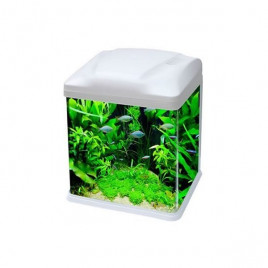 B238 Mini Fanus Balık Akvaryumu 39x26x44.5 Cm Beyaz | Tatlı Su Akvaryumu B238 Mini Fanus Balık Akvaryumu 39x26x44.5 Cm Beyaz | Tatlı Su Akvaryumu