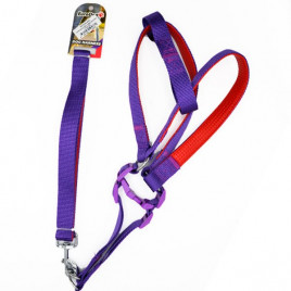 120 Cm 25 Mm Uzatma ve Göğüs Mor | Köpek Göğüs Tasması 120 Cm 25 Mm Uzatma ve Göğüs Mor | Köpek Göğüs Tasması