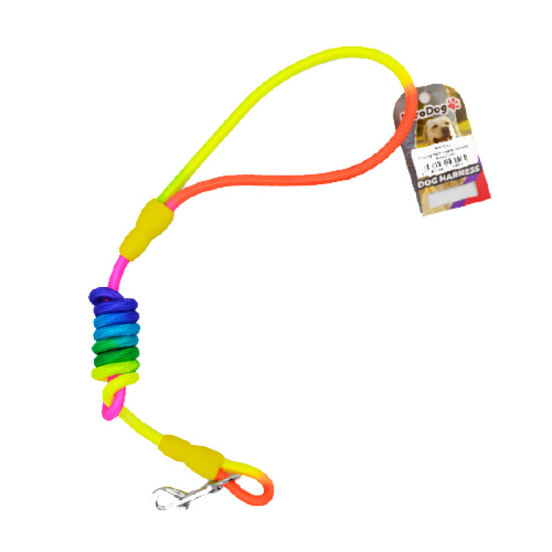 Euro Dog 8 Mmx120 Cm Gezdirme Tasması Gökkuşağı | Köpek Gezdirme Tasması Euro Dog 8 Mmx120 Cm Gezdirme Tasması Gökkuşağı | Köpek Gezdirme Tasması