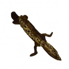 Sesli Peluş Ayı Kahverengi | Kumaş Ve Peluş Köpek Oyuncağı Sesli Peluş Ayı Kahverengi | Kumaş Ve Peluş Köpek Oyuncağı