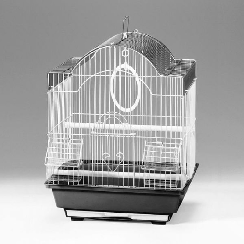 Euro Gold 30x23x41 Cm Salıncaklı Kafes Renkli | Kuş Kafesi