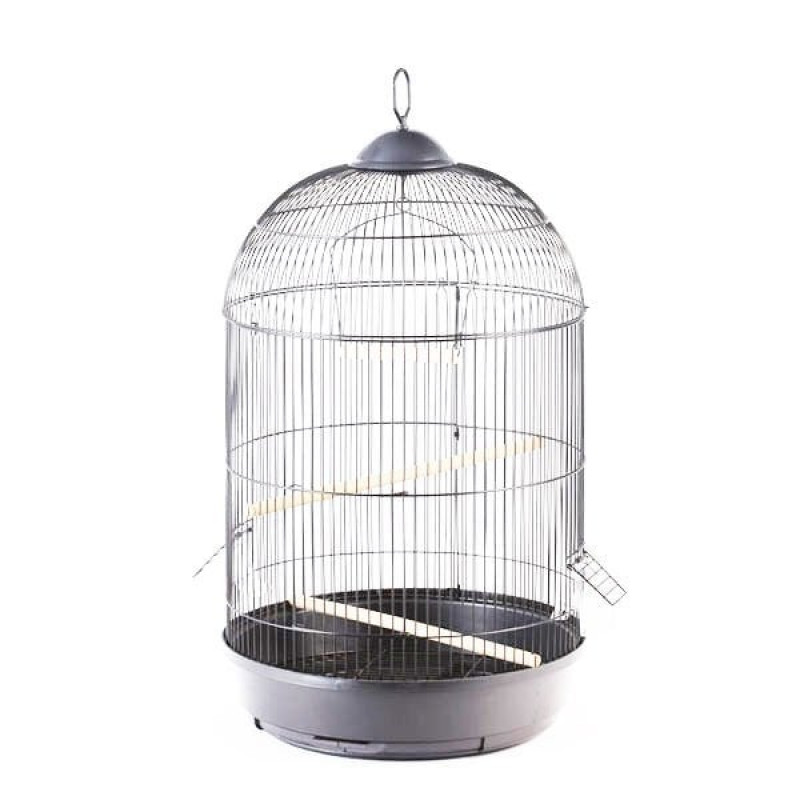 Euro Gold 42x77 Cm Yuvarlak Salon Kafes Krom | Kuş Kafesi Euro Gold 42x77 Cm Yuvarlak Salon Kafes Krom | Kuş Kafesi