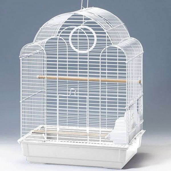 EuroGold 30x42x56 Cm Bombeli Paraket Kafesi Beyaz | Kuş Kafesi