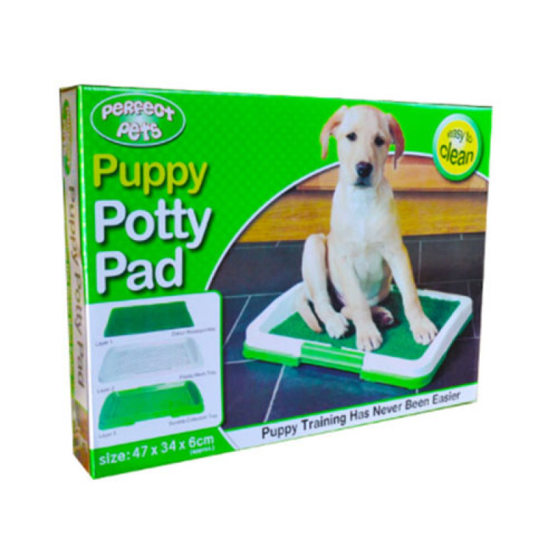 EuroGold 47x34 Cm Perfect Tuvalet Eğitim Yapay Çim | Köpek Tuvalet Eğitimi EuroGold 47x34 Cm Perfect Tuvalet Eğitim Yapay Çim | Köpek Tuvalet Eğitimi