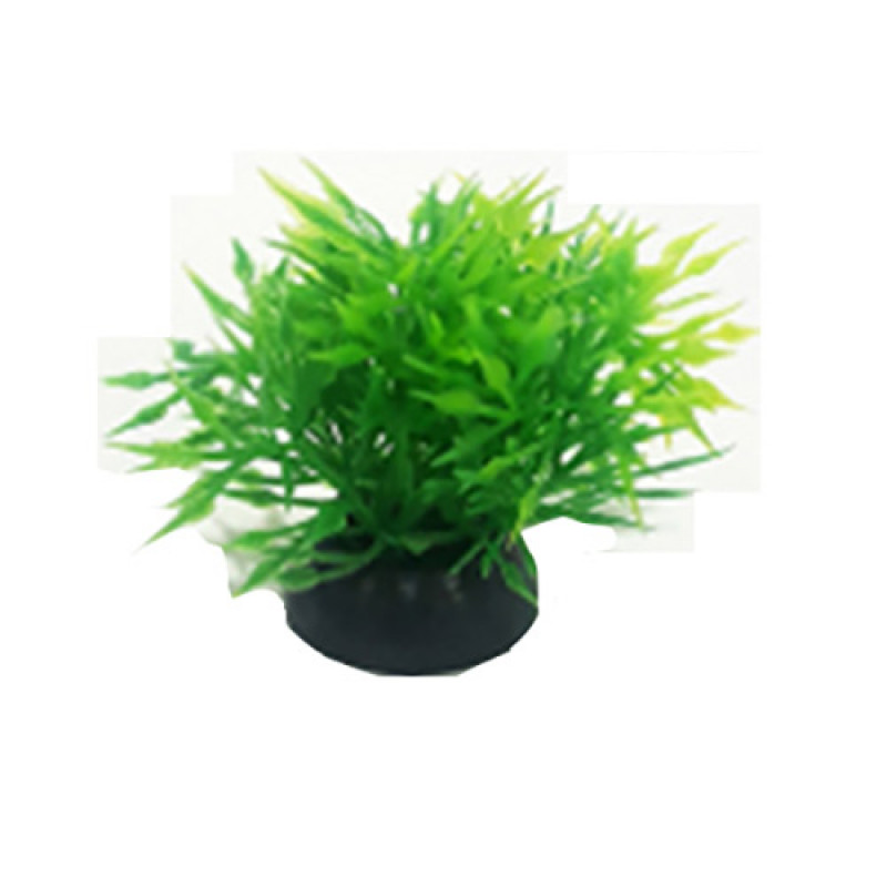 EuroGold 5 Cm Plastik Bitki 2 İnch | Akvaryum Yapay Bitki EuroGold 5 Cm Plastik Bitki 2 İnch | Akvaryum Yapay Bitki