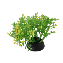 EuroGold 5 Cm Plastik Bitki 2 İnch | Akvaryum Yapay Bitki