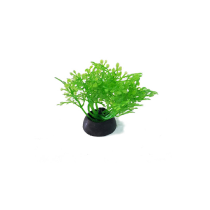 EuroGold 5 Cm Plastik Bitki 2 İnch | Akvaryum Yapay Bitki