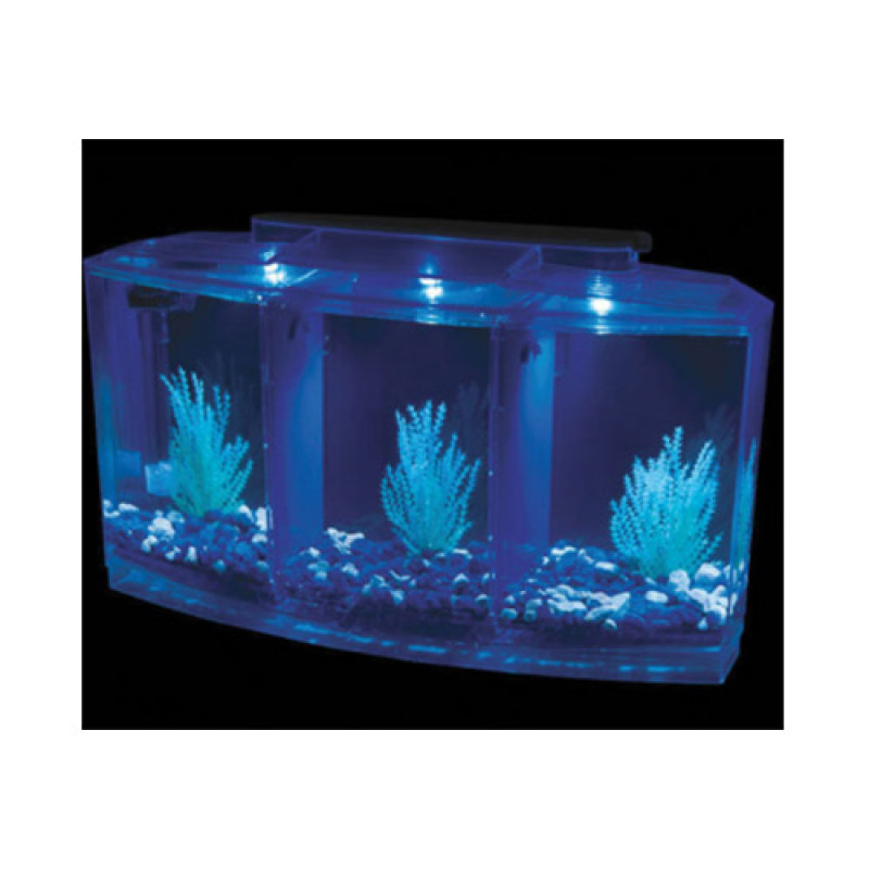 EuroGold Mini Akvaryum Kit Mor | Tatlı Su Akvaryumu
