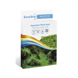 EuroStar Bitki Toh Hemianthus Callitrichoides | Akvaryum Bitki Besini EuroStar Bitki Toh Hemianthus Callitrichoides | Akvaryum Bitki Besini