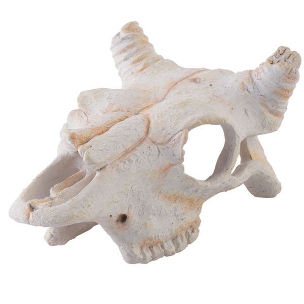 Exo S Terra Bufalo Kafatası 13x10x6 Cm | Kaplumbağa Yuvası