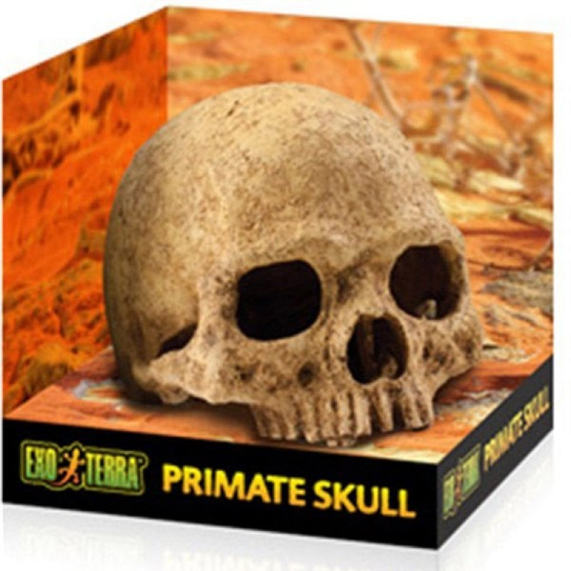 Exo Terra 14,5x16x16 Cm Kafa Tası Yuva | Cam Terraryum Exo Terra 14,5x16x16 Cm Kafa Tası Yuva | Cam Terraryum