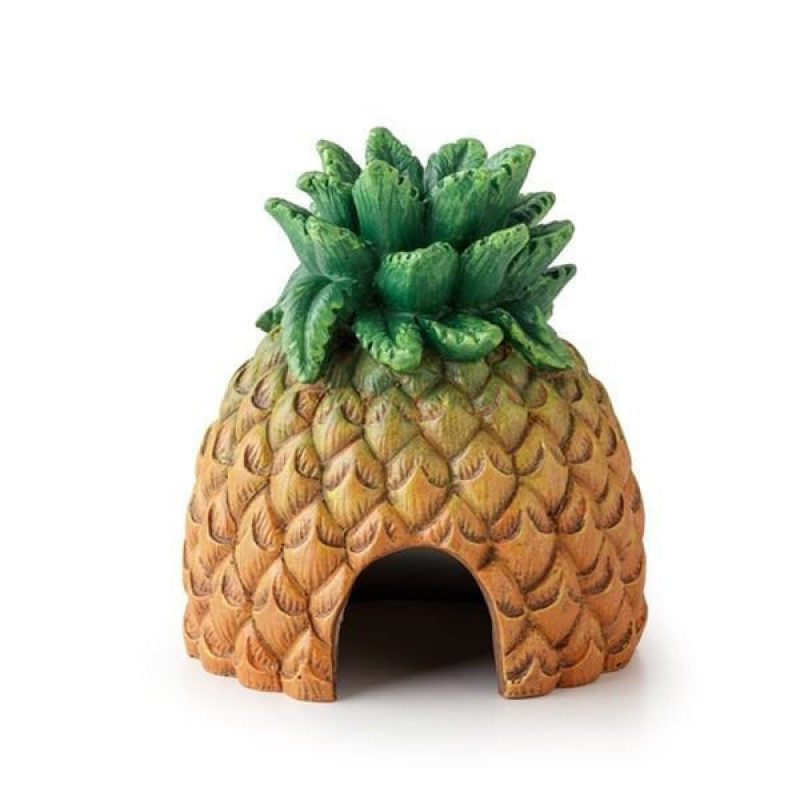Exo Terra 14x15x19 Cm Ex Pineapple Saklanma Alanı | Kaplumbağa Yuvası Exo Terra 14x15x19 Cm Ex Pineapple Saklanma Alanı | Kaplumbağa Yuvası