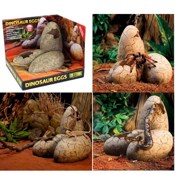 Exo Terra 15x13x13 Cm Dinozor Yumurtası Yuva | Kaplumbağa Yuvası