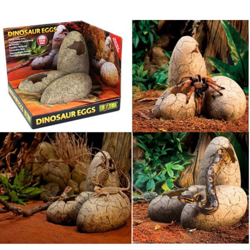 Exo Terra 15x13x13 Cm Dinozor Yumurtası Yuva | Kaplumbağa Yuvası Exo Terra 15x13x13 Cm Dinozor Yumurtası Yuva | Kaplumbağa Yuvası