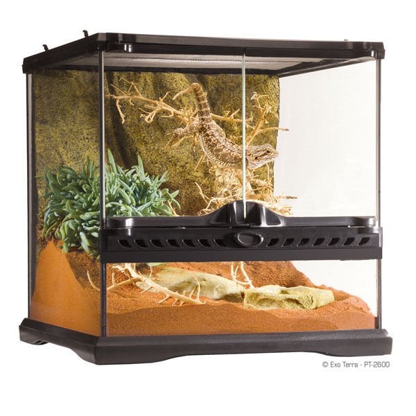 Exo Terra 30x30x30 Cm Teraryum | Cam Terraryum