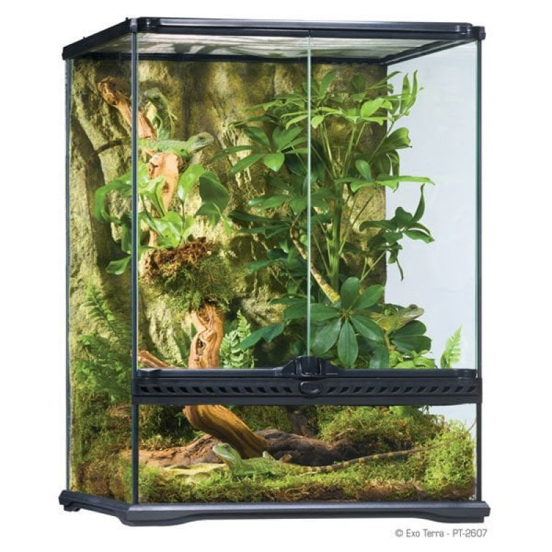 Exo Terra 45x45x60 Cm Teraryum | Cam Terraryum Exo Terra 45x45x60 Cm Teraryum | Cam Terraryum
