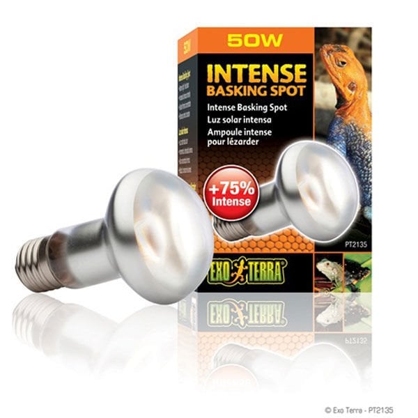 Exo Terra 5W Spot Lamba 63 Mm | Kaplumbağa Aydınlatma Lamba