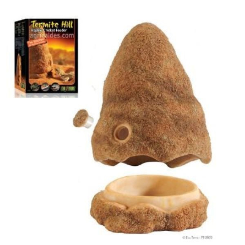 Exo Terra Böcek ve Çekirge için Yuva Yemleyici | Kaplumbağa Yem Ve Su Kabı