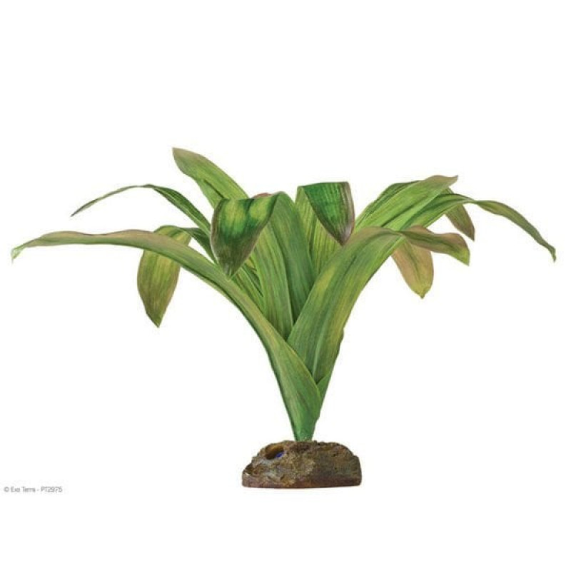 Exo Terra L Teraryum için Plastik Bitki | Cam Terraryum Exo Terra L Teraryum için Plastik Bitki | Cam Terraryum