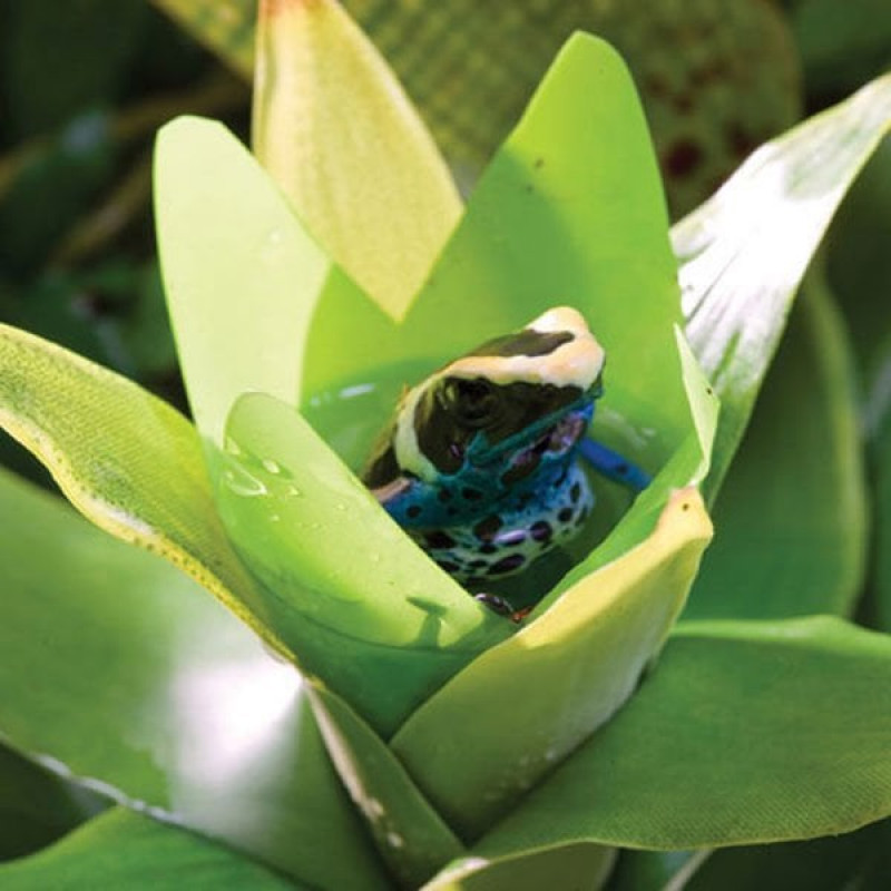 Exo Terra L Teraryum için Plastik Bitki | Cam Terraryum