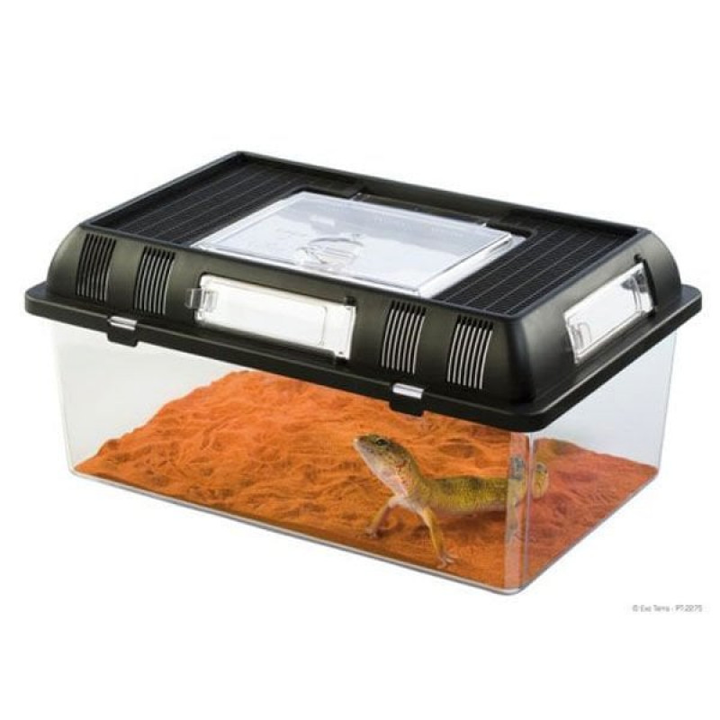 Exo Terra M Breeding Box Siyah | Cam Terraryum