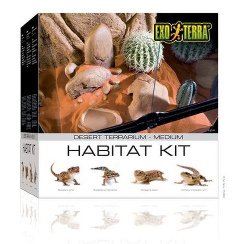 Exo Terra M Çöl Teraryum Set Habitat Kit | Cam Terraryum Exo Terra M Çöl Teraryum Set Habitat Kit | Cam Terraryum
