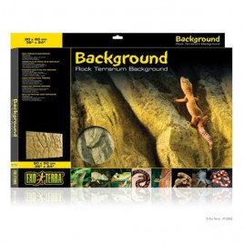 PT2614 Teraryum Arka Fon Dekoru | Terraryum Arka Fonu PT2614 Teraryum Arka Fon Dekoru | Terraryum Arka Fonu