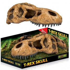 Sürüngen Trex Kafatası Yuva 25x14x12,70 Cm | Cam Terraryum