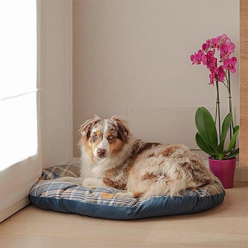 Ferplast 43x30 Cm Hamilton 70 Yatak Mavi | Kumaş Köpek Yatağı