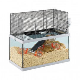 Ferplast 44x52x27 Cm Gabry Cam | Ginepig Taşıma Kafesi Ferplast 44x52x27 Cm Gabry Cam | Ginepig Taşıma Kafesi