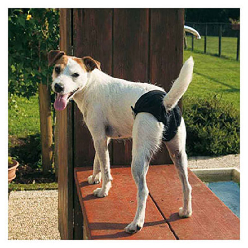 Ferplast Culotte Igienica Maxi Nera Köpek Kilodu | Köpek Külodu Ve Pedi