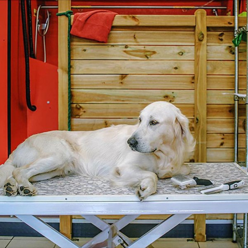 Ferplast GRO 5762 S Premium Çift Taraflı Tarama Fırçası | Köpek Tarağı