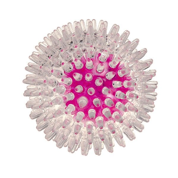 Ferplast PA 6416 Led Işıklı Top | Köpek Top Oyuncak