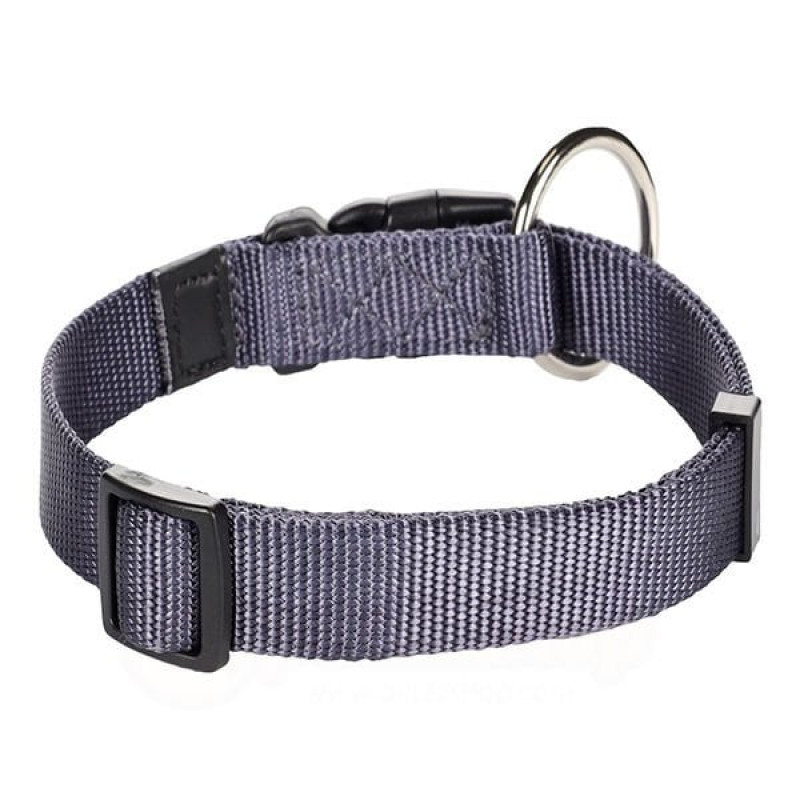 Flamingo 40-55 Cm Boyun Tasması Mavi | Köpek Boyun Tasması