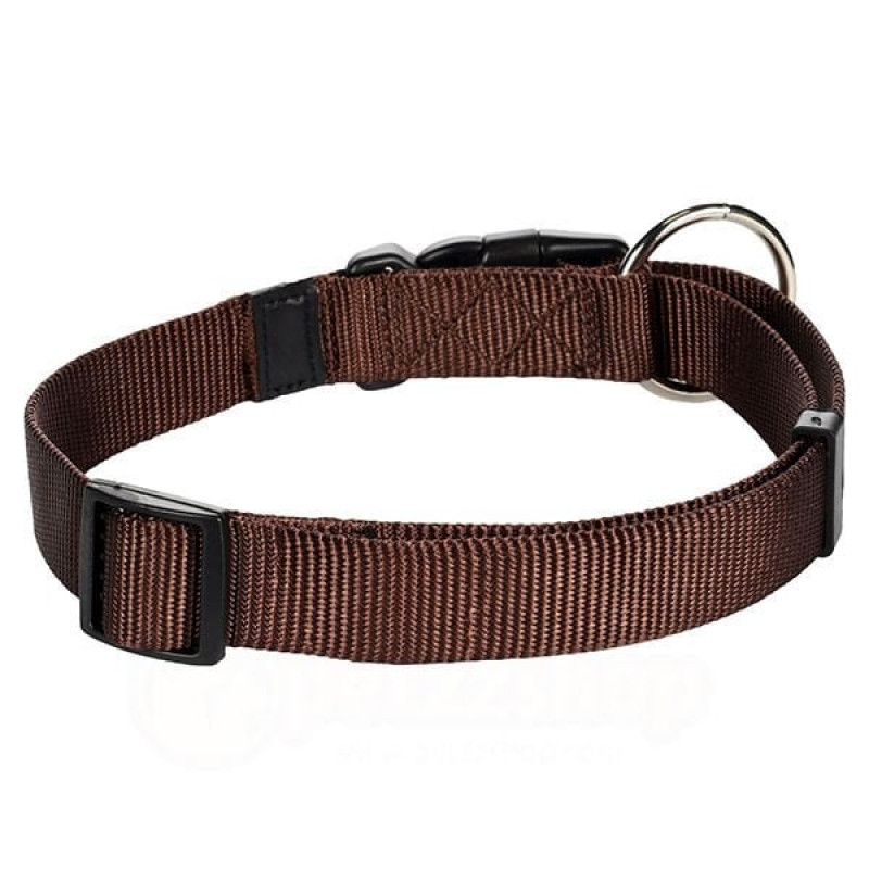Flamingo 45-65 Cm Boyun Tasması Kahverengi | Köpek Boyun Tasması