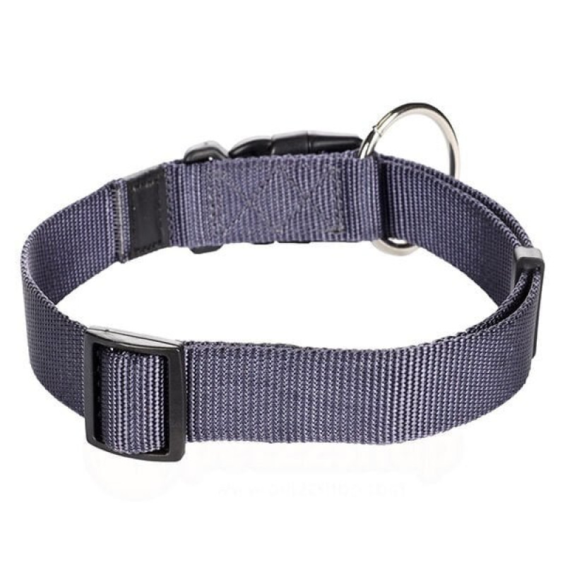 Flamingo 45-65 Cm Boyun Tasması Mavi | Köpek Boyun Tasması