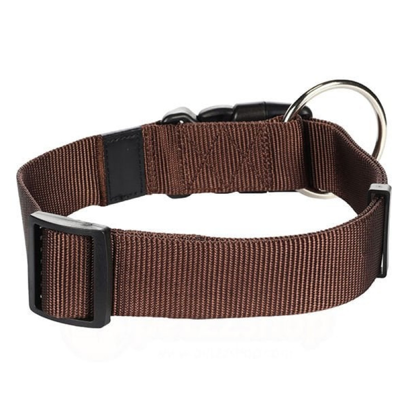 Flamingo 55-75 Cm Boyun Tasması Kahverengi | Köpek Boyun Tasması