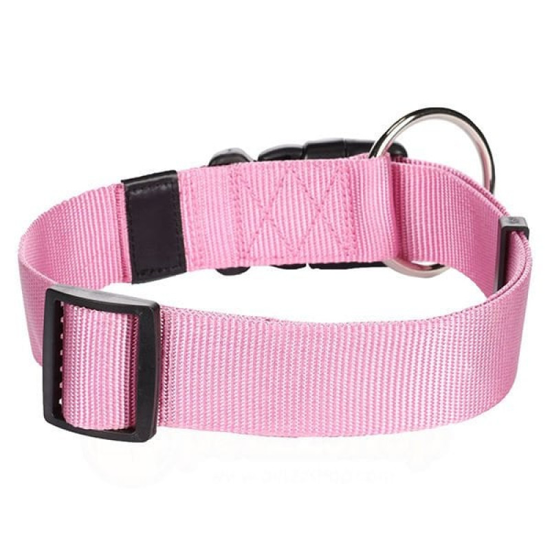 Flamingo 55-75 Cm Boyun Tasması Pembe | Köpek Boyun Tasması