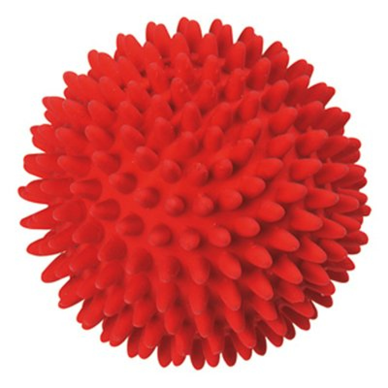 Flamingo 9 cm Latex Sivri Top Oyuncak | Köpek Top Oyuncak Flamingo 9 cm Latex Sivri Top Oyuncak | Köpek Top Oyuncak