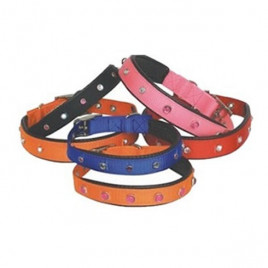 Garden Mix L Soft Tasma | Kedi Boyun Tasması Garden Mix L Soft Tasma | Kedi Boyun Tasması