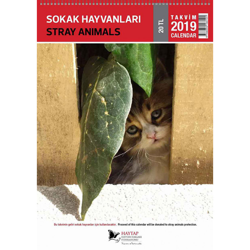 Haytap Sokak Hayvanları Duvar Takvimi 2021