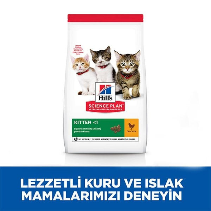 Hill's 1,5 Kg Science Plan Kitten Healthy Development Chicken | Yavru Kedi Kuru Maması