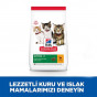 Hill's 1,5 Kg Science Plan Kitten Healthy Development Chicken | Yavru Kedi Kuru Maması