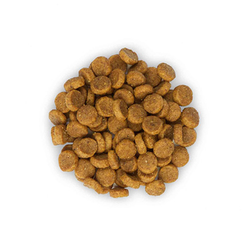 Hill's Science Plan 1,5 Kg Sensitive Stomach & Skin Chicken | Yetişkin Kuru Kedi Maması