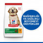 Hill's Science Plan 2,5 Kg Puppy Healthy Development  Large Chicken | Yavru Köpek Kuru Maması