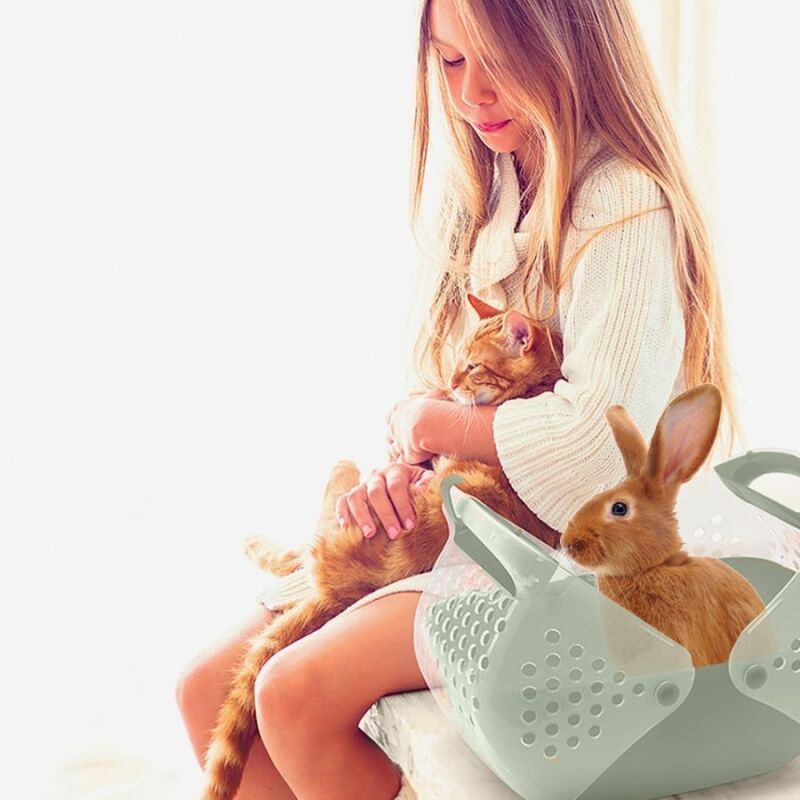 İmac Baggy Kemirgen ve Yavru Kedi Taşıma Çantası Pembe 36x25x29 Cm