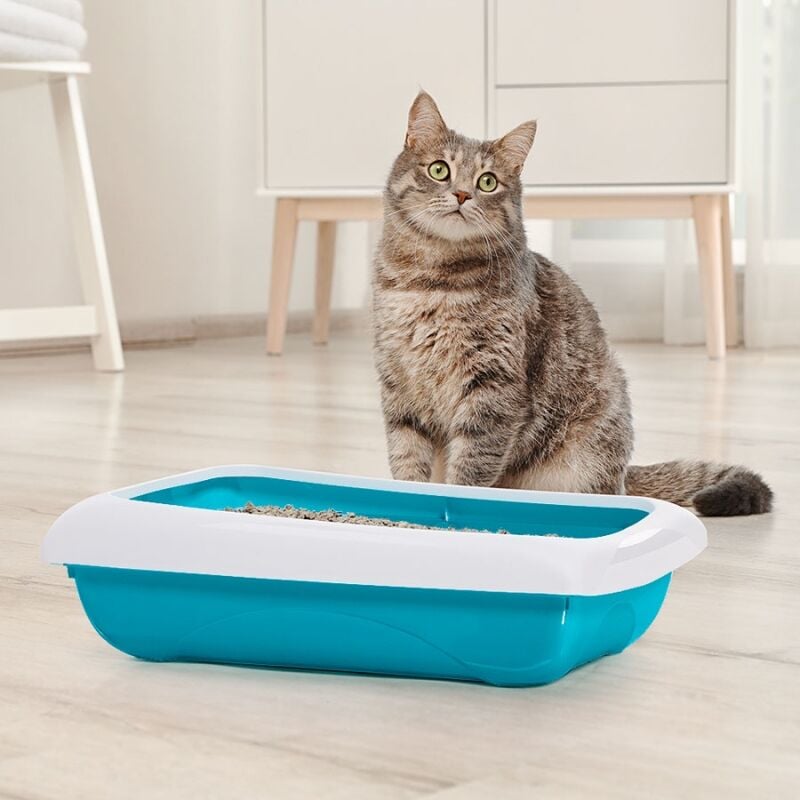 İmac Dodo Açık Kedi Tuvaleti Mavi 45.5x31x13.5 Cm