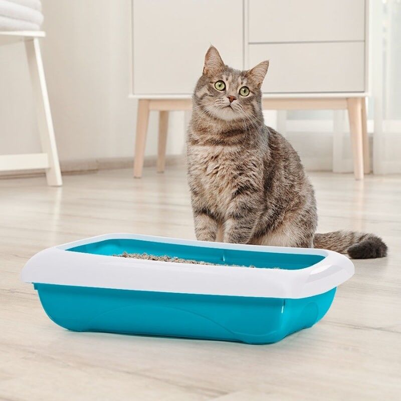 İmac Dodo Açık Kedi Tuvaleti Mavi 45.5x31x13.5 Cm