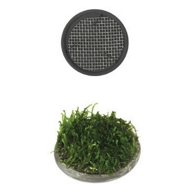 Ista 5 Cm Seramik Yuvarlak Bitki Taban | Akvaryum Taban Malzemesi Ista 5 Cm Seramik Yuvarlak Bitki Taban | Akvaryum Taban Malzemesi